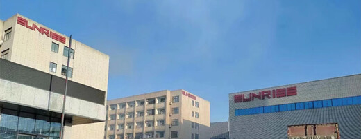 语森忆适用于16寸凯美瑞轮毂卡罗拉锐志逸致钢圈雷凌皇冠汽车轮圈胎铃新 春驰830 16x6.5J