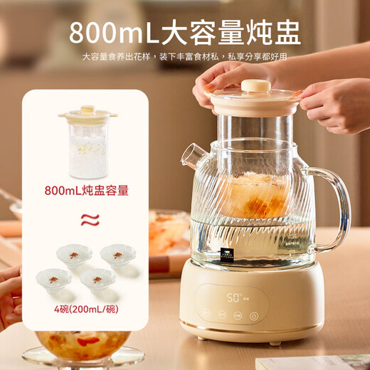World KitchenCorning full glass body health kettle 1.6L large capacity constant temperature kettle electric kettle office multi-function teapot flower tea kettle 24h reservation 72h heat preservation 1.6L tea drain + stew pot