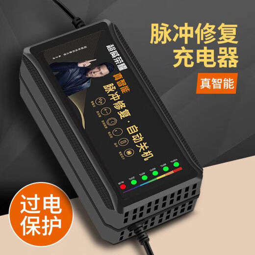 桐汝壁电池电动车充电器486072铅酸石墨烯显示电量-自动断 高端4840-45Ah 2米长线