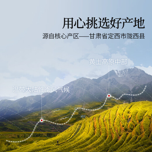 同仁堂品牌 西洋参枸杞黄芪三宝茶组合460g送父母长辈营养滋补品礼品