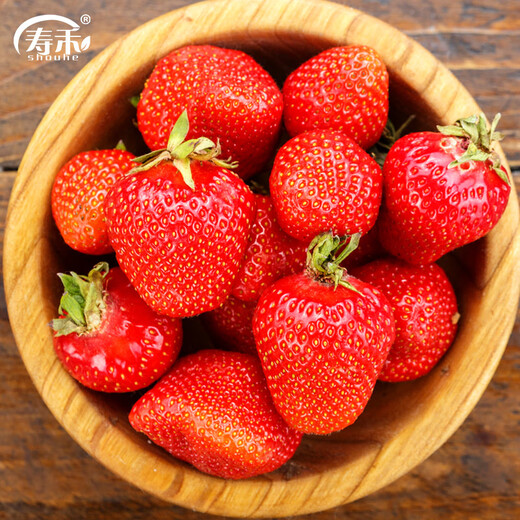 Shouhe Cream Strawberry Seeds Indoor Four Seasons Winter and Spring Potted Cream White Strawberry Winter and Spring Sowing Seeds Cream Red Strawberry Seeds Small Bag Trial Planting About 100