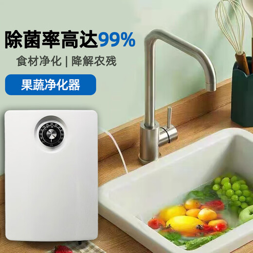 IGENU ozone water generator household vegetable washing machine ozone disinfection machine water treatment fish tank fruit and vegetable machine ozone generator commercial sterilization school laboratory water and air dual-use 2000mg water treatment model