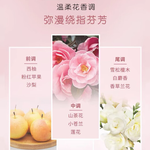 Silk Yun Long-lasting Styling Powerful Hair Gel Water Multi Specifications Curling Elastin 150ml