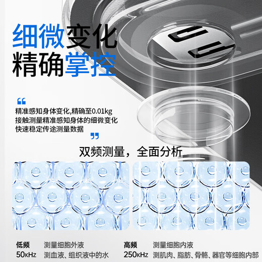 致生活 家用精准电子秤体重秤智能体脂秤Type-C快充体重称电子秤减肥专用的人体秤称重计 体脂充电款黑色-明星代言