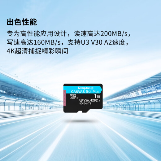 金士顿（Kingston）1TB TF（MicroSD）存储卡 无人机/运动相机 内存卡 U3 V30 A2 4K 读速200MB/s兼容手机/行车记录仪