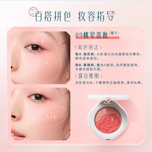 Huaxizi Rouge Blush Brightening Light Autumn Rose (Matte Milk Tea Brown + Light Bean Paste) 4g