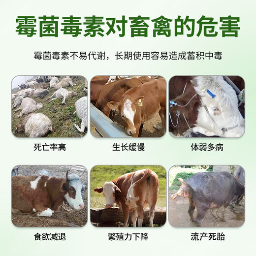 Yingmeier's genuine mold removal agent for cattle, sheep, pigs, veterinary biological biological mold removal net, forage mold removal, chicken feed mold removal additive, mold net rapid growth * 5 packs