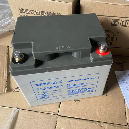 理士铅酸蓄电池DJM1265S 12V65AH 38AH 100AH 150AH 200AH 直流屏 UPS DJM12200S【12V200AH】