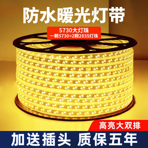 Fanyao outdoor waterproof light strip led super bright light strip 220v special engineering high voltage light strip for living room exterior wall 120 beads-warm light-20 meters