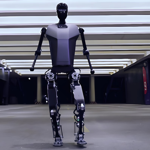 Miss Dolphin Robot Nanny Artificial Intelligence AI Education Research Humanoid Robot College Experimental Teaching School Exhibition Hall Opening Marketing Performance Dancing Welcome Rental Basic Edition [Supporting Secondary Development]