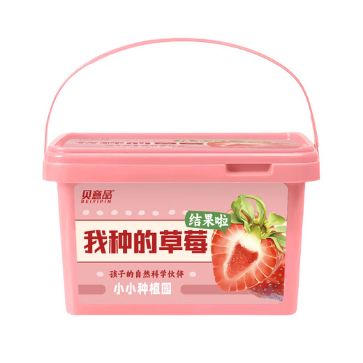 Beiyipin children planting small potted cream strawberry fruit seeds kindergarten plant observation box primary school student gift