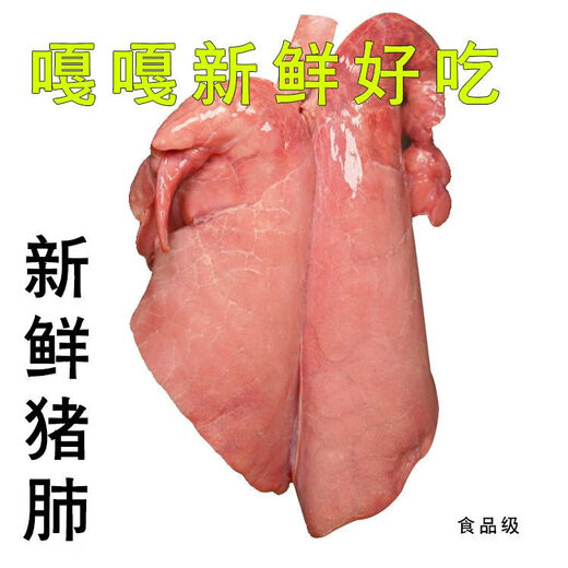 Fresh pig lungs, fresh ingredients, commercial pig offal, farmhouse free-range native pig pig lungs for hot pot, 2 pairs of high-quality food-grade pig lungs with tubes