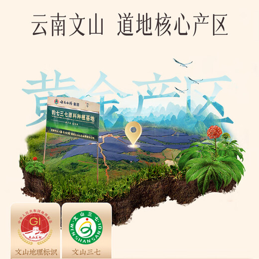 云南白药三七极细粉260g*2升级礼盒装 散瘀止血 消肿定痛 文山三七 破壁极细粉送父母送长辈滋补养生礼盒