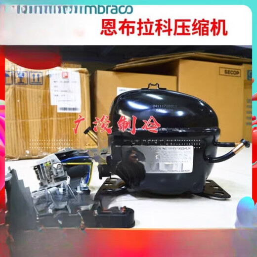 Embraco EMT45HLR EMS6170Z EMT6160Z EMY3130Z 75HLP Kompressor R134a EMTE6187Z