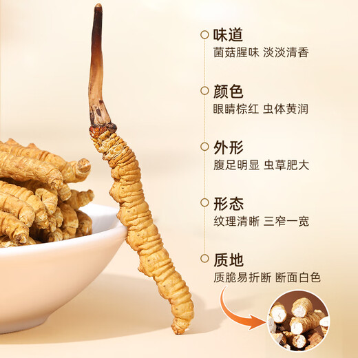 
Purple and Blue Flower Sea [Narqu, Tibet] Authentic Wild Cordyceps sinensis New Dried Cordyceps High-end Nutritional Gift Box for Parents and Elders [Narqu, Tibet] Wild Medium Broken Grass 100g