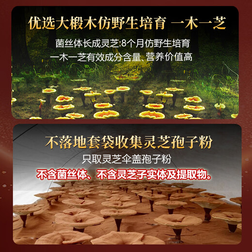 元生泰高三萜 灵芝孢子油软胶囊破壁灵芝孢子粉精华 中老年人保健品 