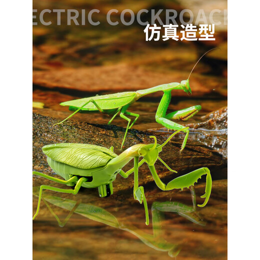 遥控螳螂电动仿真玩具抖音整蛊神器蟑螂男孩会动的蜘蛛爬行小动物 【经典版-遥控瓢虫】红色款9922+ 【升级版】另赠24粒电子