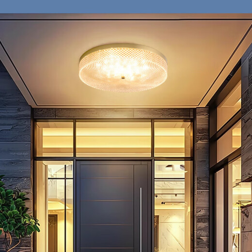Villa Durable Entrée Plafond Light Foyer Entrée Entrée Entrée Courte de cour extérieure Balconie Entrée extérieure Éclairage 6626-40 cm - Changement de lumière à trois couleurs-36W