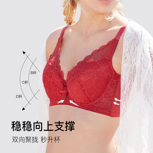 茜施尔（SHCER）大胸显小内衣软钢圈胸罩聚拢上托调整型收副乳蕾丝性感文胸 纯真白 75B