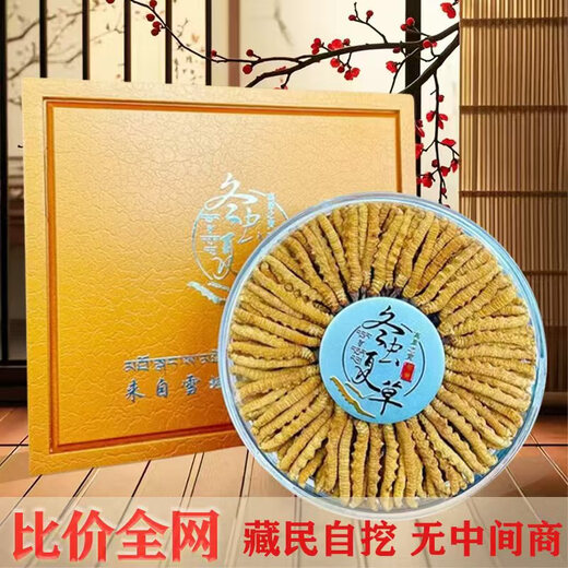 高海拔冬虫夏草正品头期干货虫草3根/克  2根/克多种规格高档礼盒 精品那曲0.6根一克50条送1根