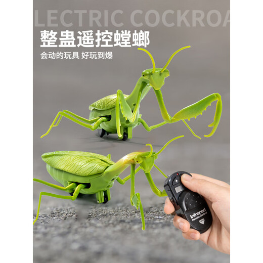 遥控螳螂电动仿真玩具抖音整蛊神器蟑螂男孩会动的蜘蛛爬行小动物 【经典版-遥控瓢虫】红色款9922+ 【升级版】另赠24粒电子