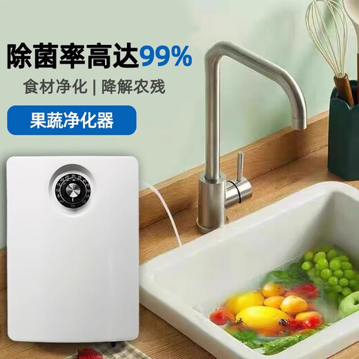 EVANLEY German ozone generator disinfection machine household air purifier water treatment efficient sterilization and disinfection deodorization and odor drinking water fruit and vegetable cleaning to remove pesticide residues 2000mg water treatment model-4 liters