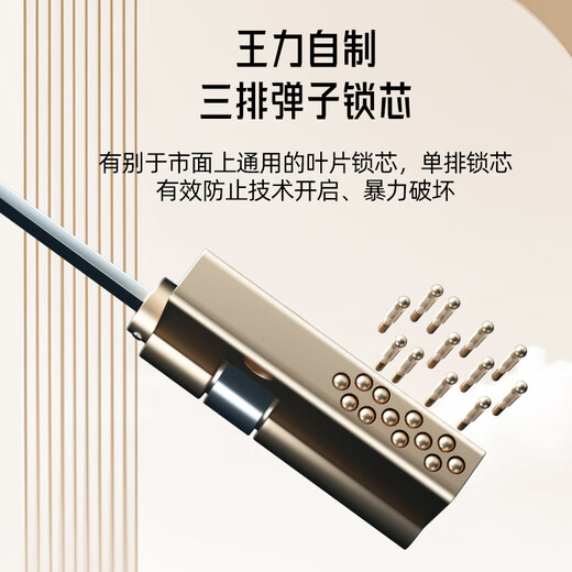 王力4级防盗门进户门入户门高端别墅大门P702【2.0】