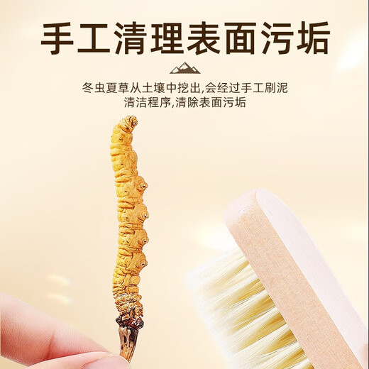 
Purple and Blue Flower Sea [Narqu, Tibet] Authentic Wild Cordyceps sinensis New Dried Cordyceps High-end Nutritional Gift Box for Parents and Elders [Narqu, Tibet] Wild Medium Broken Grass 100g