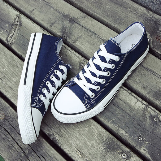 Europäisches Pastoralpaar Leinwandschuhe für Männer 2025 Sommer New Low Top Casual Sports Schuhe für Männer trendy und vielseitig (PJ) 6621 Blue 41