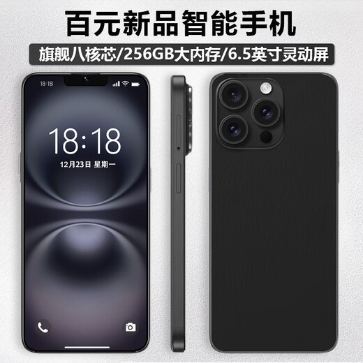 金立新款256GB八核智能手机超薄长续航全网通微信八开6.5英寸大屏人脸识别老年人学生电竞游戏备用 黑色 8核+128GB