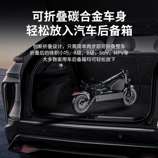 Luyuan Recommended Brand for Life Electric Scooter Lithium Battery Portable Foldable Electric Vehicle Adult Two-Wheeled Scooter Mini Electric Vehicle 48V/Black/110-130 Miles/800W/Smart AI/With Seat