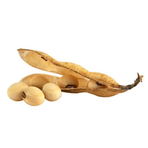 Thousand Jin Jin is equal to 0.5 kilograms. Bean soybean seeds, early soybean seeds, farmers' own soybean seeds. Thousand Jin Jin is equal to 0.5 kilograms. Beans 250 grams. Yield per mu is over 1,000. Original color.