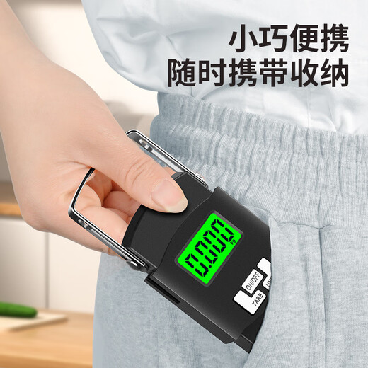 100斤高精度手提电子秤小型快递称便携式家用钩商用吊勾弹簧行李 手提电子秤-100斤电池款 电池款