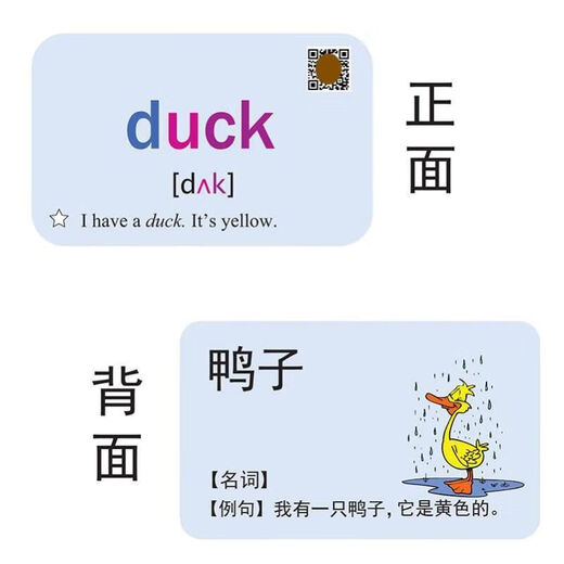 小学英语单词卡片 2024年鲁教版三年级四年级五年级单词卡 三到五年级全套(692张)