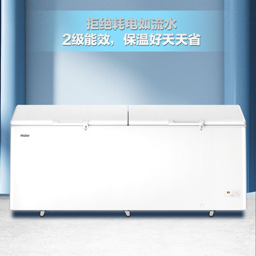 Haier-Gefrierschrank [Nationaler Subvention] 300/305/308/369/429/519 Liter Haushaltshaushaltshaushalter geschliffen