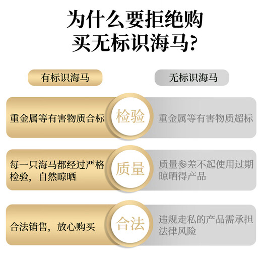 Haima medicinal materials, one male and one female, large seahorse dried wine combination, hexagonal sea dragon sea sparrow nourishing soup gift box 1 pair 4 grams (2 male and female 12-13cm)