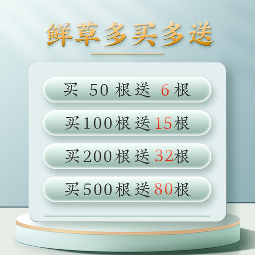 2025年新鲜冬虫夏草正宗头期鲜虫草1.2克/根正品鲜草送礼品补品 0.8-1.0克/根【冷冻保存】 20根新鲜虫草