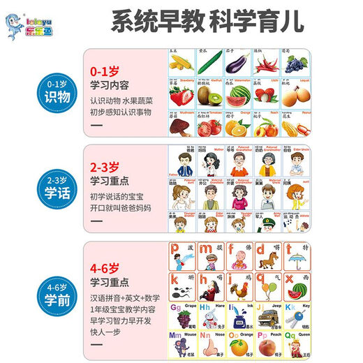 Zhouge Early Education Machine Machine Lecteur d'apprentissage des enfants peut être rechargeable et Sound Book AudioRoBooks Toys Pictures 47 Sense complète de grands livres + 6 Patches de pratique de pratique