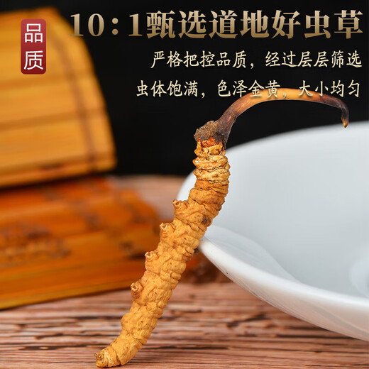 北京同仁堂冬虫夏草冬虫夏草藏区雪域虫草2根一克干货冬虫草送礼佳品50根 50根礼盒装【规格2根1克】