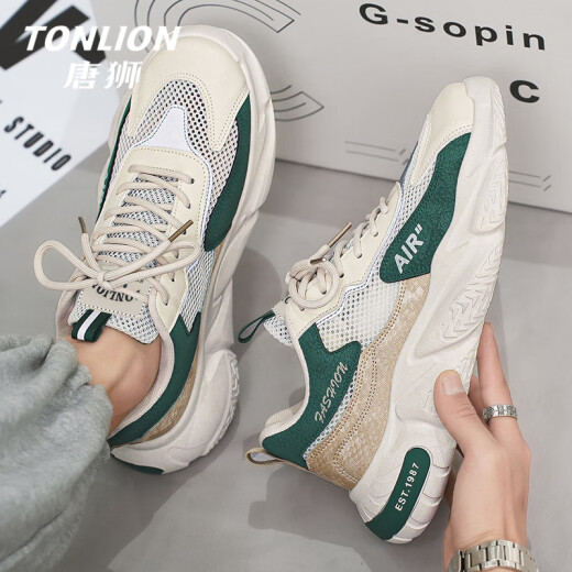 Tang Lion (Tonlion) Herrenschuhe Sommer Mesh Schuhe Herren Trendy Casual Sports Schuhe Herrendicke Vaters Schuhe Trendy Schuhe Reisgrün Größe 42