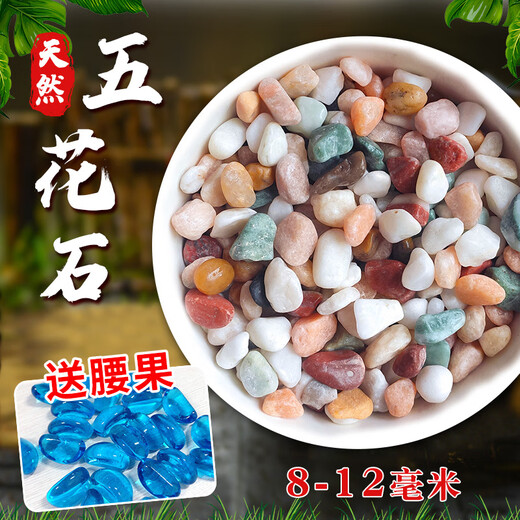 Runhuanian Pure Yuhua Stone Potted Succulent Pavement Stone Small Multicolored Stone Fish Tank Pavement Ornamental Stone Colorful Small Stone Multicolored Stone 8-12mm 5.2Jin Jin equals 0.5kg (hot)