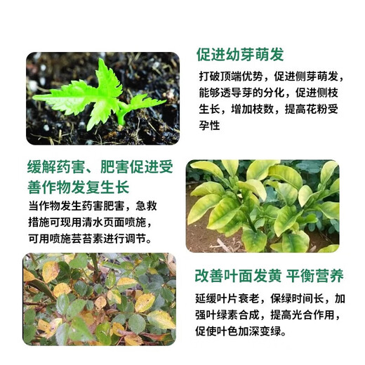Guoguang Ximu 24-Epibrassinolide potted flower seedlings lawn foliar fertilizer plant growth regulator pesticide