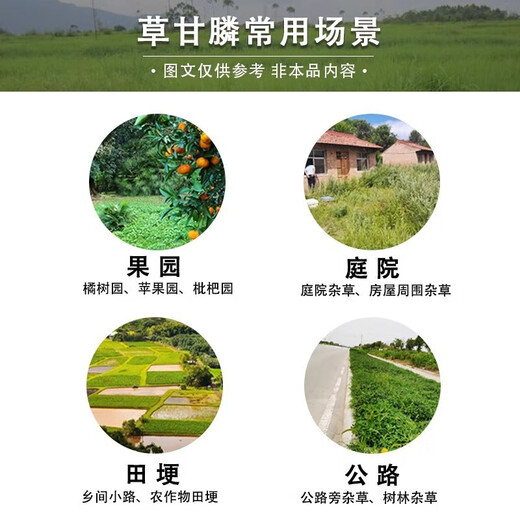 Glyphosate weed killer and root rot agent, powerful herbicide for removing weeds in orchards, wasteland, roads, railways, non-arable land, 2kg, 2 bottles