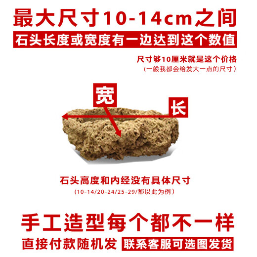 Stone flowerpot absorbent stone water stone original stone natural flowerpot with asparagus bamboo and calamus succulent plant micro landscape pot 13-17cm stone pot + small leaf red phoebe package one