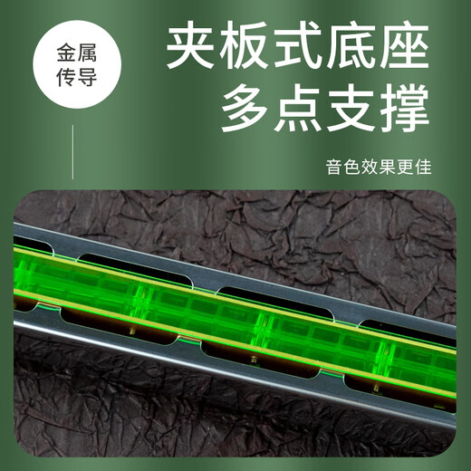 国光上海国光复音口琴纸盒国光口琴24孔口琴初学者C调口琴重音口琴 24孔重音C调口琴