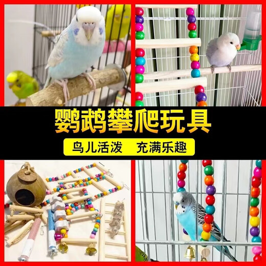 Runhuanian Parrot Solid Wood Ladder Autumn Toy Myna Myna Bird Supplies Bird Nest Bird Cage Decoration Complete Set Log Trumpet Swing + Bird Nest