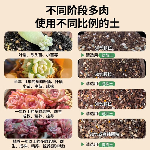 Captain Succulent Nutrient Soil Special Granular Soil for Planting Flowers and Potted Plants Universal Colored Stone Peat Flower Soil Paving Stone Adult Plant Soil 50% Granular Soil 5Jin Jin is equal to 0.5 kg