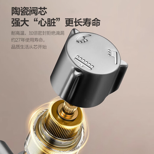 Wanhe Shower Set Purple Copper Main Faucet Pressurized Shower Full Set of Shower Spraying Head Bathroom Shower [Golden Bang
