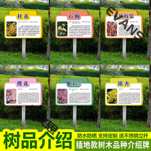 Ground type tree brand school park stainless steel plant greening information sign tree introduction sign care imitation CDSP-18 (surface covered with crystal + pole) 50x70cm