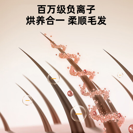 德妈宠物智能烘干箱180L超大容量猫咪狗狗吹风机宠物吹水机烘干机